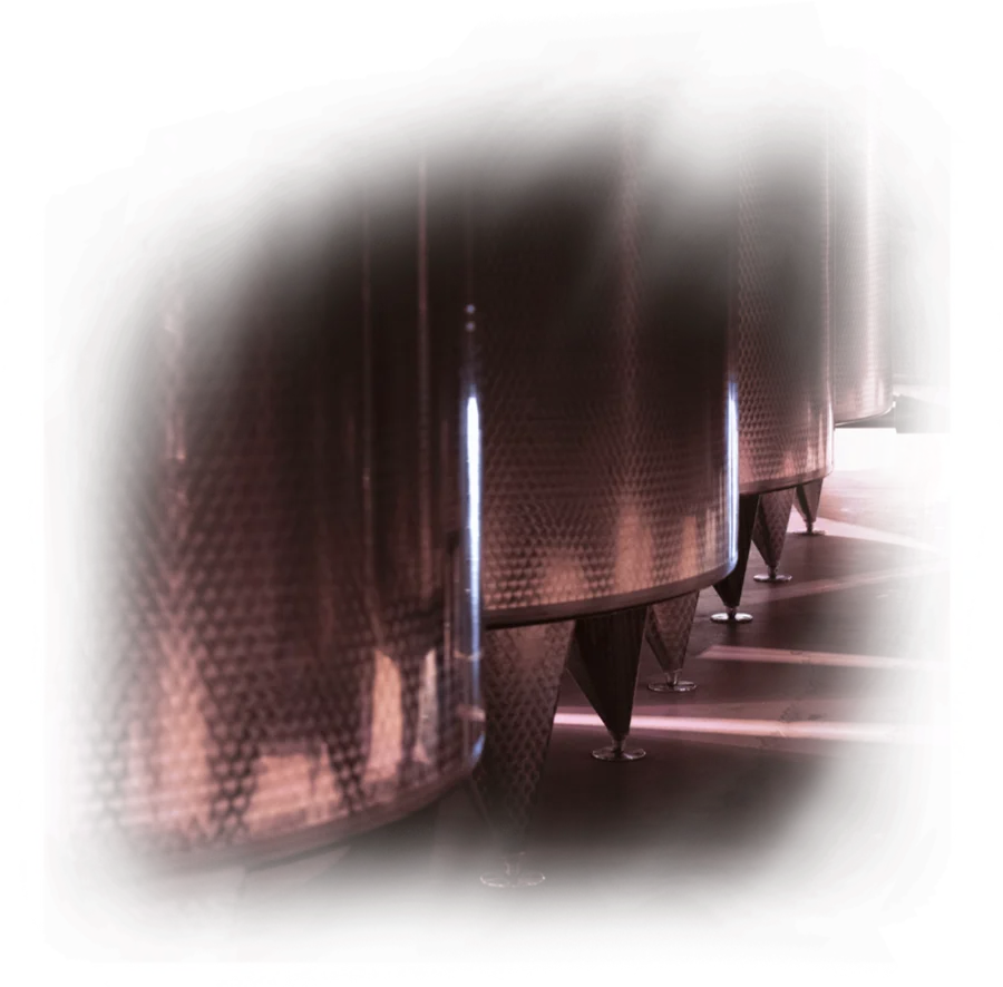 cantina1