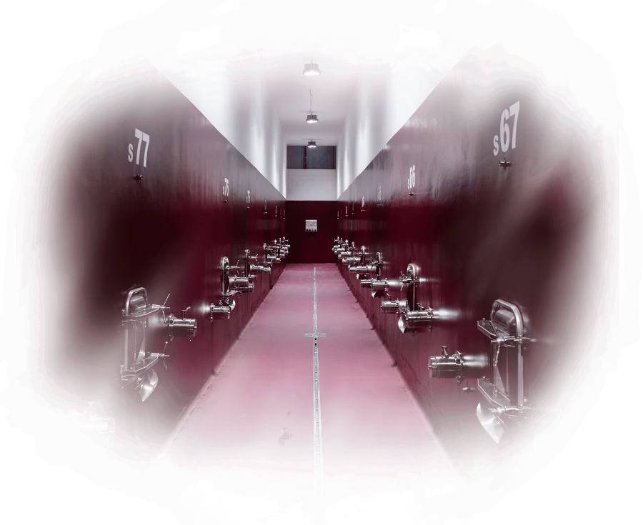 cantina2